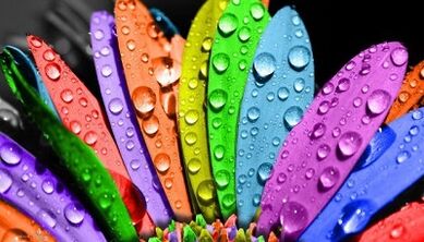 Como perder peso coa dieta de 6 pétalos