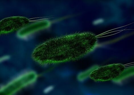 A causa da gastrite é unha bacteria Helicobacter